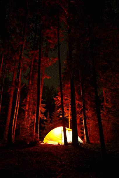 Tents set up for camping in the woods