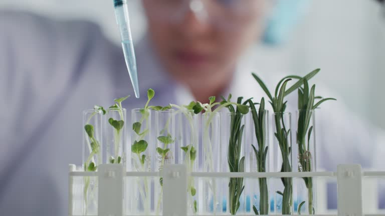 scientist conducting an experiment with a plant in a laboratory