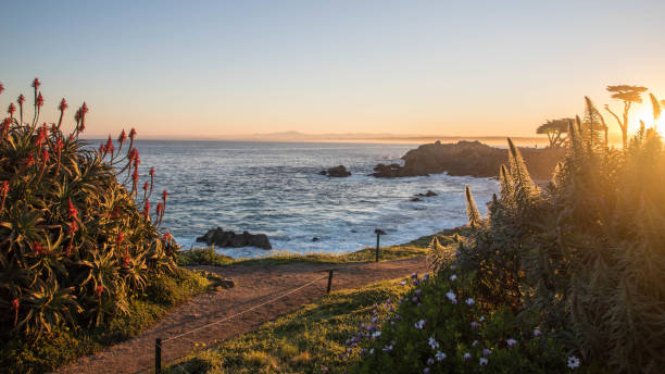 モントレーのカリフォルニア海岸の朝の光 - monterey bay ストックフォトと画像