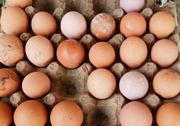 istock Photo background of eggs on the shelf 1431871526