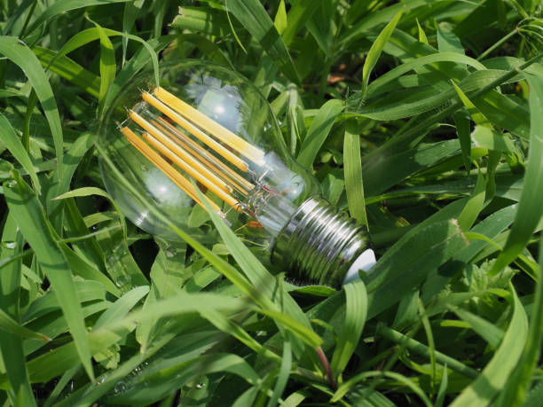 istock modern green led bulb in the grass 1431879412