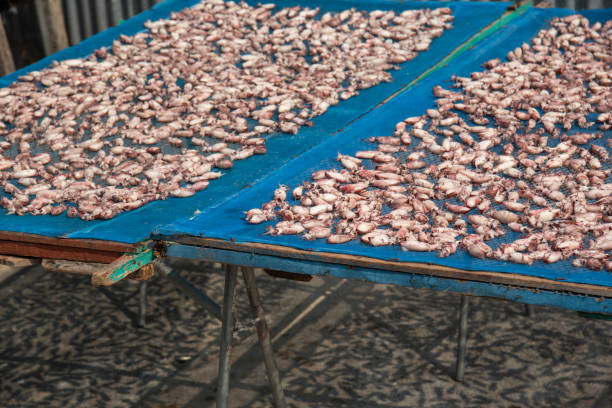 istock Dried squid or octopus at Thai seafood market 1431880966