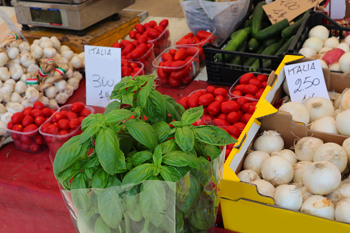 typical Italian products with the colors of the GREEN flag basil WHITE onion and RED tomato for sale at the market