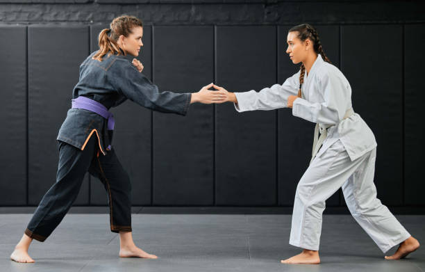 istock Karate training, handshake and exercise of female sport students about to start training. Student fitness and gym workout of women learning how to fight at a dojo studio, school and sports club 1431895905