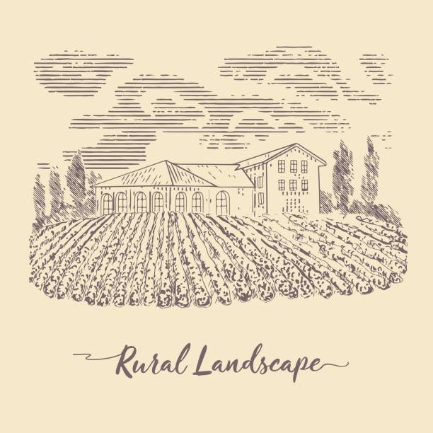 Panorama of the rural landscape in the engraving style Farm, rustic house, vintage-style winery, sketch drawing. Vineyards or garden trees with a rural villa. country road road corn crop farm stock illustrations