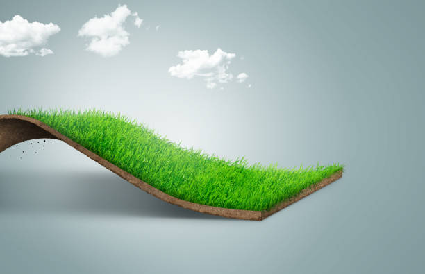 3d illustration of bending grass field isolated. agriculture grass field creative ads. green grass pathway. grassy road isolated on white background, 3d render. - crop farm nature man made imagens e fotografias de stock