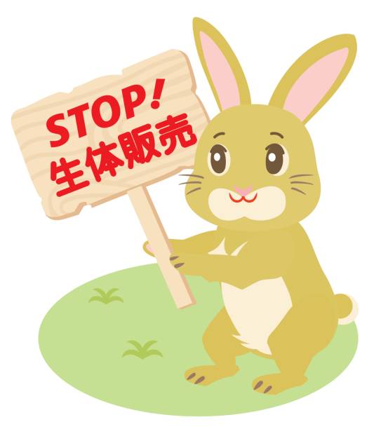 ilustraciones, imágenes clip art, dibujos animados e iconos de stock de conejo con la pancarta y la carta japonesa. - animal protection law animal rabbit domestic animals