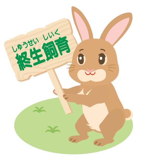 ilustraciones, imágenes clip art, dibujos animados e iconos de stock de conejo con el cartel de la cría de toda la vida y la letra japonesa. - animal protection law animal rabbit domestic animals