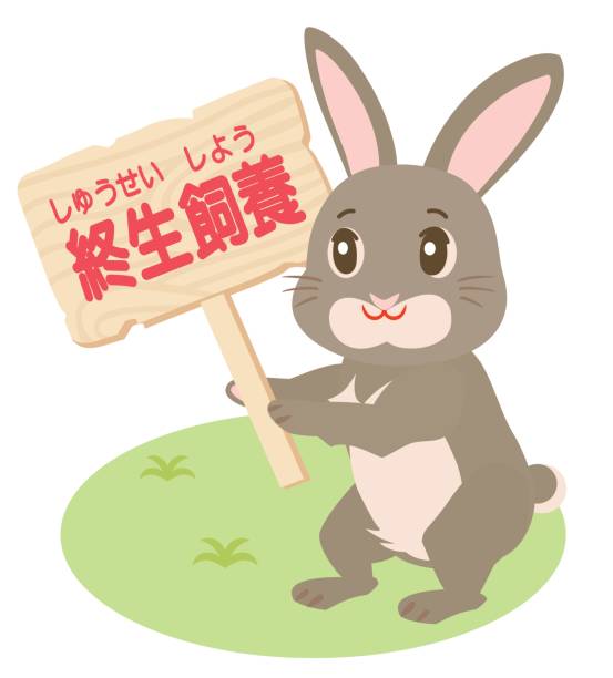 生涯繁殖のプラカードと日本語の文字を持つウサギ。 - animal protection law animal rabbit domestic animals点のイラスト素材／クリップアート素材／マンガ素材／アイコン素材