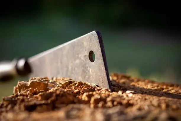 A closeup portrait of a wood cleaver stuck in a piece of wood. The metal chopper has a wooden handhold and is stuck in a stump of wood.