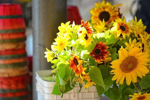 Flowers at a Michigan Farmers Market.