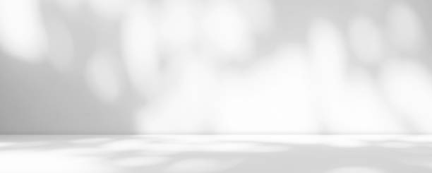 istock Abstract Shadow Leaves Gray Cement Room Stodio Background 1431904609