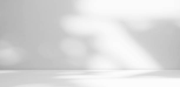 istock Abstract Shadow Leaves Gray Cement Room Stodio Background 1431904627