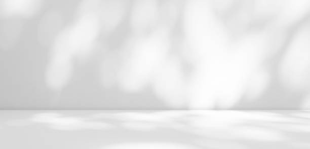 istock Abstract Shadow Leaves Gray Cement Room Stodio Background 1431906234