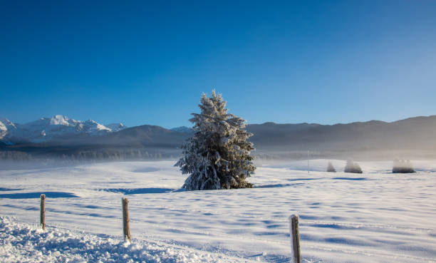 a light fog in mount6ain winter chatellerault photos stock pictures, royalty-free photos & images