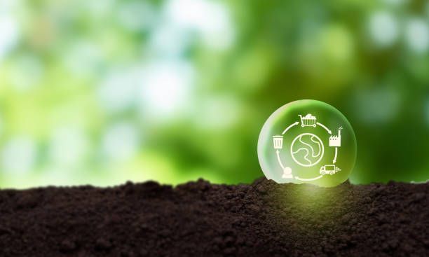 istock Business value chain and sustainability. LCA, Life cycle assessment . Positive environmental impact to value chain product. Carbon footprint reduction. ISO LCA standard aims to limit climate change. 1431911113