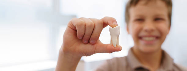istock Young boy posing with model of plastic tooth in dentist ambulance. 1431912755