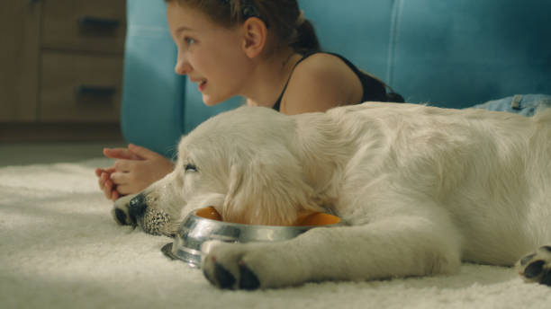 istock Young girl lies with dog 1431913609