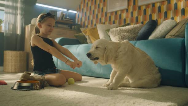 istock Young girl feeding dog 1431916691