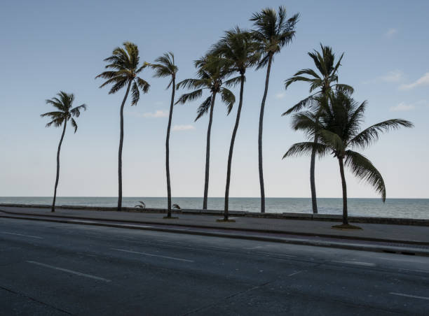 istock Boa Viagem beach and avenue 1431916860