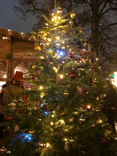istock Swiss - Geneva - Christmas Market 1431921189