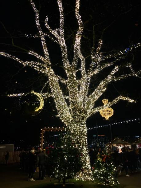 istock Swiss - Geneva - Christmas Market 1431921543