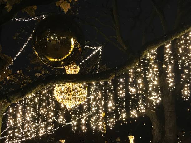 istock Swiss - Geneva - Christmas Market 1431922664