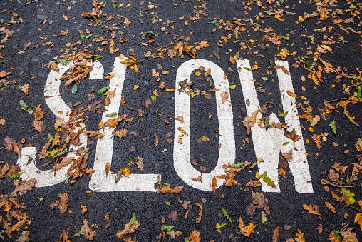 Slow road sign writted on a tarmac cycle track, road covered in orange and yellow Autumn leaves