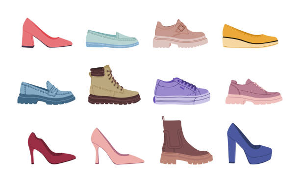 set of different stylish female shoes and boots. - chelsea stock illustrations