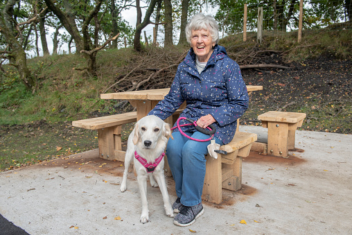 Happy senior woman with golden retriever dog resting at a wooden table outdoors in Autumn
