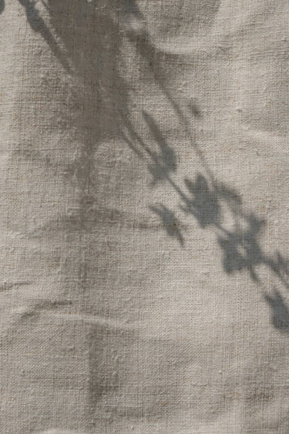 istock Organic hemp fabric or hemp cloth on a sunny day. Shadows from a flowering tree. 1431927166