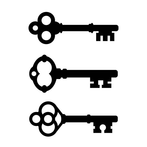 Old ornate skeleton key vector icon Ornate skeleton key vector icon isolated on white background opening door logo stock illustrations
