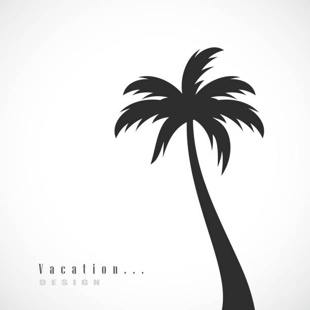 Tropical palm tree vector silhouette icon Palm tree silhouette vector poster isolated on white background fruit of coconut tree stock illustrations