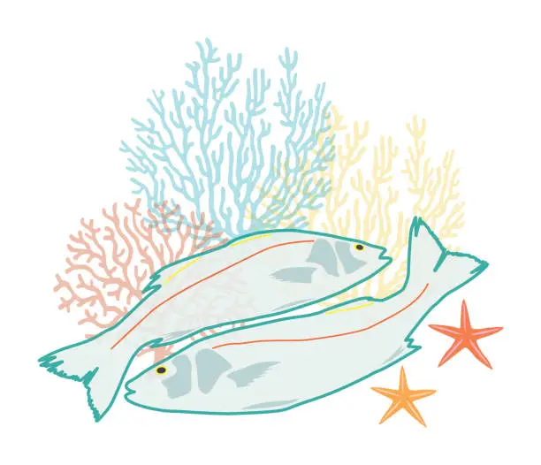 Vector illustration of fish and coral