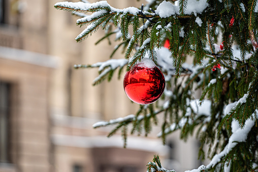 red toy ball hangs on a snowy branch, a red bauble on snowy pine, Christmas decoration, closeup
