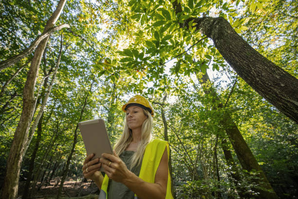 istock Female scientist researching and analysing the forest 1431930431