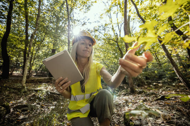 istock Female scientist researching and analysing the forest 1431930539