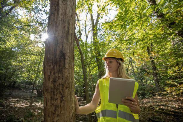 istock Female scientist researching and analysing the forest 1431931589