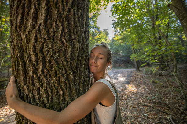 istock Young woman hugging tree in the forest 1431933432