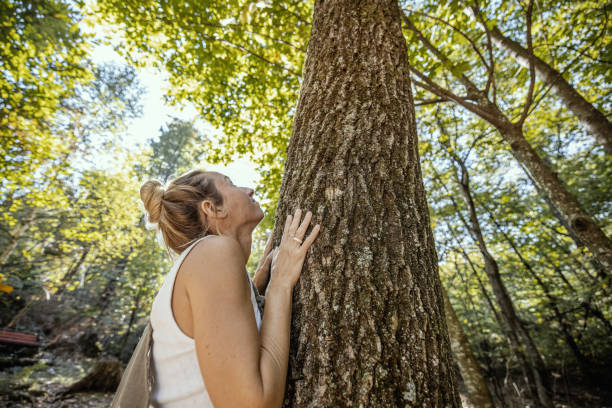 Free Stock Photo of young woman hugging a big tree in the woods ...