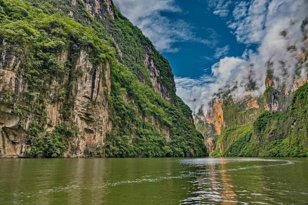 Sumidero canyon in Chiapas state, Mexico Sumidero canyon as seen from the water. It has vertical walls which reach as high as 1,000 meters and is about 13 kilometers long. Chiapas state, Mexico mexico chiapas cañón del sumidero stock pictures, royalty-free photos & images