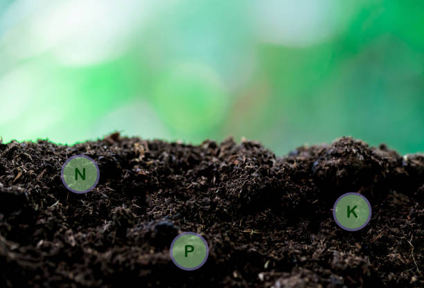 rich soil and nature background with all the elements needed to grow, while digital icons represent elements.nutrients needed by plants are nitrogen, phosphorus, potassium and others. stock photo