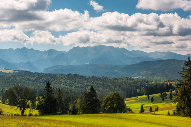 istock Lapszanka Valley in Carpathian mountains, europe, Poland 1431943402