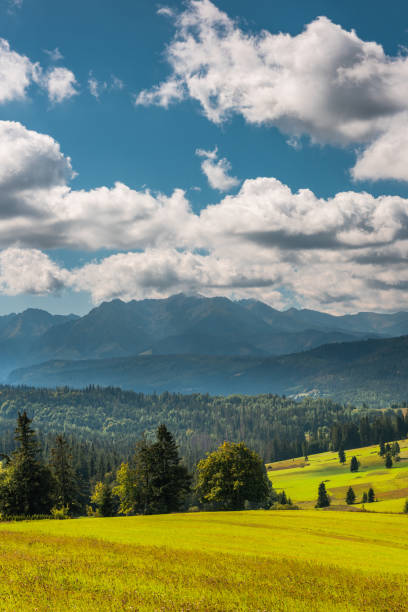 istock Lapszanka Valley in Carpathian mountains, europe, Poland 1431943508