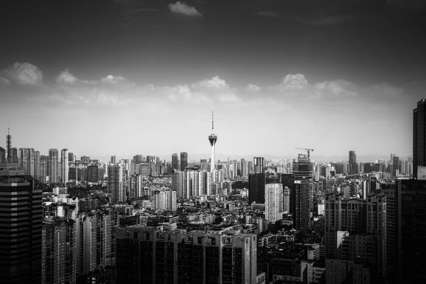 istock Black and white urban bird watching map of Chengdu 1431945372