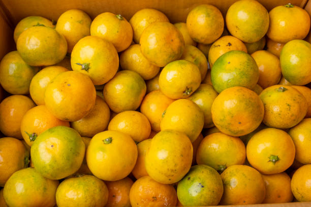 istock sweet and sour fruit tangerine 1431950669