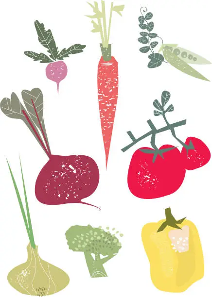 Vector illustration of Set of vegetables