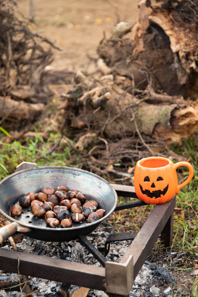 Roasting chestnuts in a pan on hot coals outdoor, and pumpkin halloween mug. stock photo