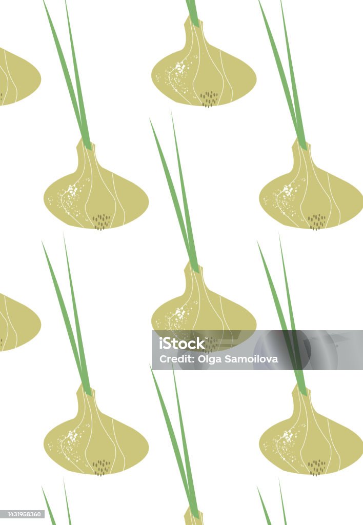 Pattern Onion Stock Illustration - Download Image Now - Backgrounds ...