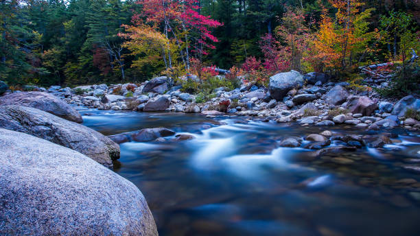 istock Swift River with morning lights and foliage colors 1431967390